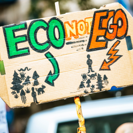 Un huerto que también enseña: visitas y talleres en Trébede Social